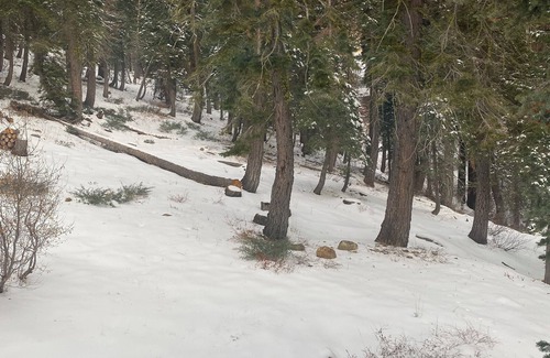 Twin Peaks House | Quiet 3-bedroom cabin in west Tahoe