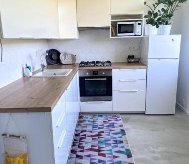 Roznov Pod Radhostem Apartment | Quiet apartment in Rožnov p R Homestay