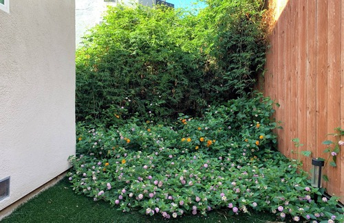 Atwater Village House | Quiet Gateway in Relaxing Neighborhood