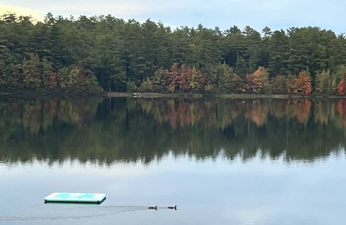Acton Cabin | Quiet Lake House