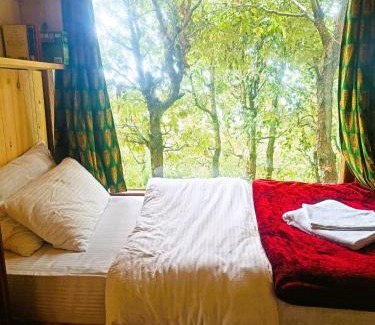 Kaul Resort | Quiet Place Himalayas