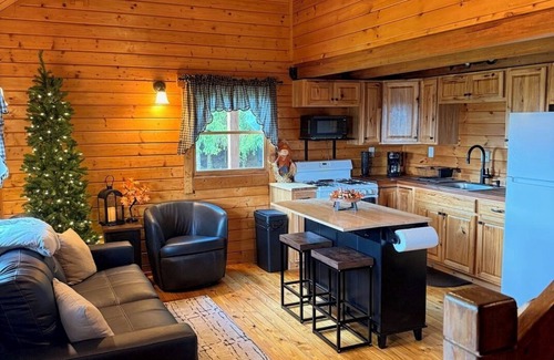 Delevan Cabin | Quiet Secluded Hilltop Log Cabin on a Gravel Road