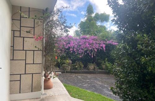 Sever do Vouga House | Quinta do Vale Vaqueiro