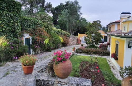 Carvoeira House | Quinta N. Sra. da Conceição