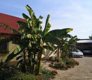 Mako Apartment | Ráday Apartman