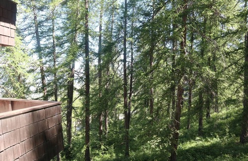 Les Orres Apartment | Résidence au Calme, Environnement Préservé Dans la Foret