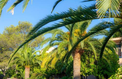Boulouris-sur-Mer Apartment | Résidence Goélia Les Jardins d'Azur