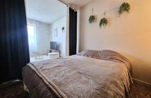 Aix-les-Bains City Center Apartment | Résidence Le Comte Vert - Dans quartier annimé, studio proche de la gare ! MAE-7294