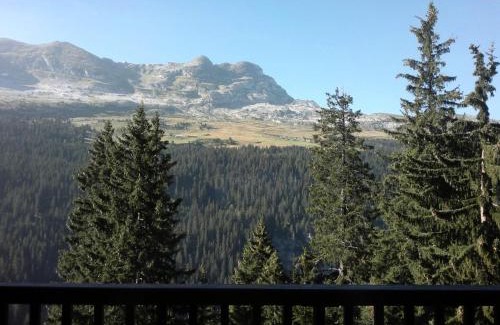Flaine Apartment | Résidence Les Pleiades - Appartement confortable avec cabine · Centre station · Balcon · Parking couvert MAE-7366