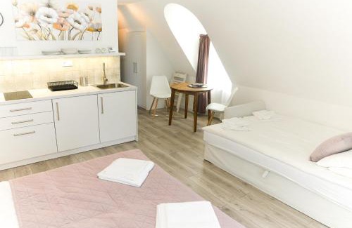 Gyor Apartment | Raba92 Apartman House