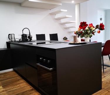 Historic Centre Apartment | Raffinato loft Sotto la Mole