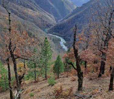 Foca Other | Rafting kamp HEDERA