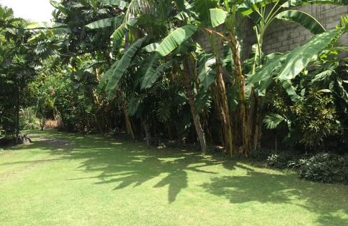 Dyanapura Hotel | Raja Gardens Hotel