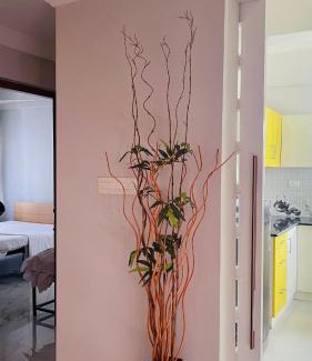 Thiruvananthapuram Apartment | Rajamandiram 3BHK AC,Near Sree Padmanabhaswamy Temple, Trivandrum Central