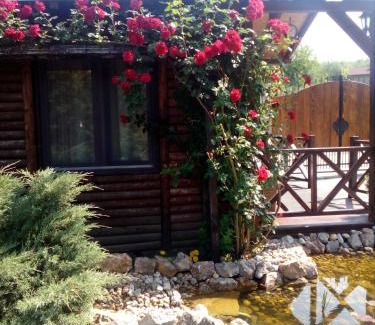 Vrdnik Cabin | Rajski vrt
