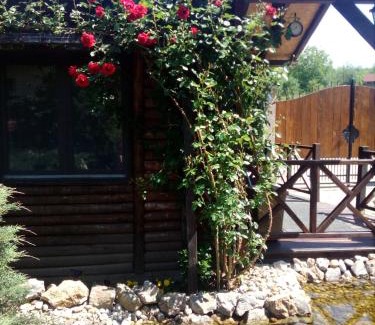Vrdnik Cabin | Rajski vrt