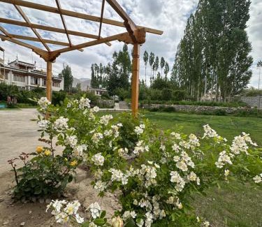 Leh House | Raku