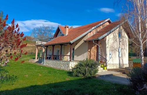 Mladenovac House | Ramonda house