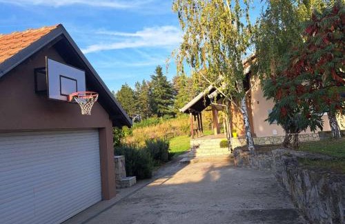 Mladenovac House | Ramonda house