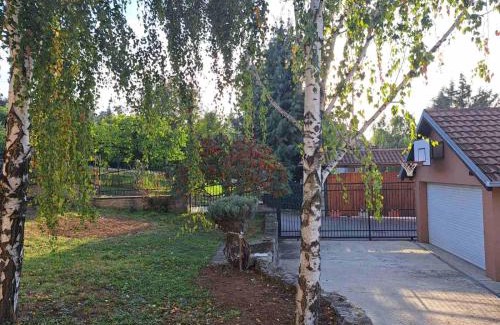 Mladenovac House | Ramonda house