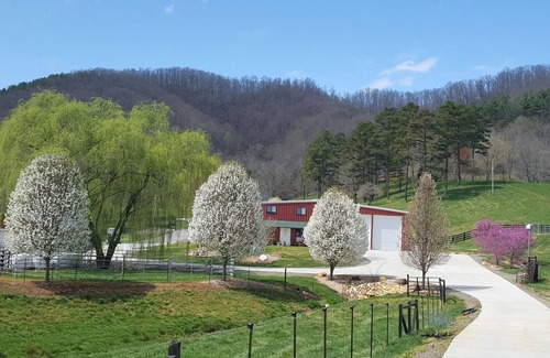 Hayesville House | Ranch Room at Walnut Hollow