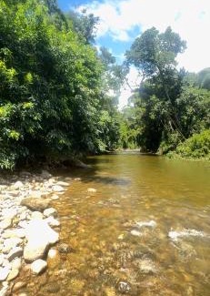Ponte Branca Apartment | Rancho Caminho Do Ouro Uma Charmosa Casinha perto de Cachoeiras Ilhas Praias Centro Historico