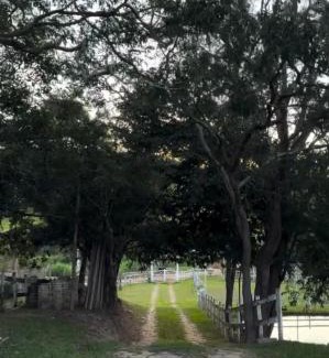 Crucilandia House | Rancho Paraíso