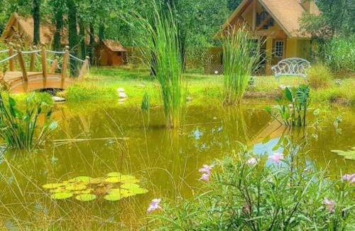 Fredericksburg Bed & Breakfast | Rarumpelpunzeldornaschenwittchen