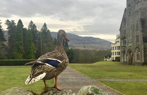 Fort Augustus Apartment | Raven Wing 11 Highland Club