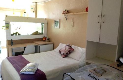 Universitario Apartment | Recanto da Frida