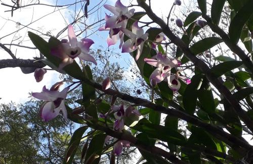 Jardim America House | Recanto Green