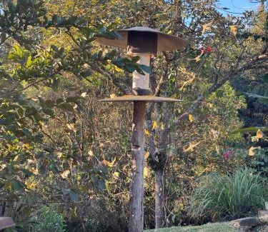 Camanducaia House | Recanto Manacá- Monte Verde