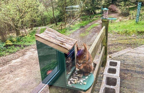 Hawes House | Red Squirrel Haven 2BR House - Sleeps 4 - Parking