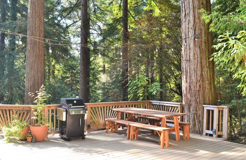Monte Rio Cottage | Redwood Retreat: Charming Alpine Cottage