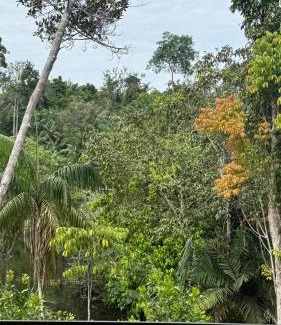 Taruma-Acu House | Refúgio na Floresta