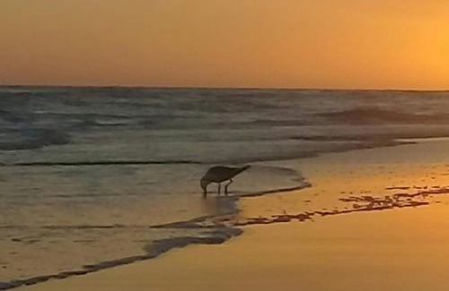 Balneario Oceano Apartment | Refugio de Mar - Balneario Reta