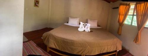 Santa Teresa Bed & Breakfast | Refugio de Mery Lucmabamba