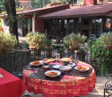 Cuernavaca House | Refugio en el bosque de agua en Cuernavaca