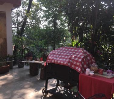 Cuernavaca House | Refugio en el bosque de agua en Cuernavaca