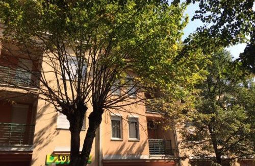 Heviz Apartment | Rehab Apartment