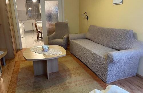 Heviz Apartment | Rehab Apartment