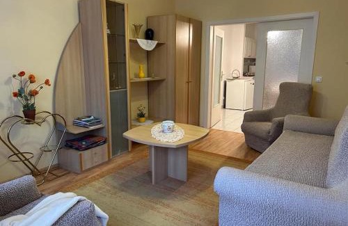 Heviz Apartment | Rehab Apartment