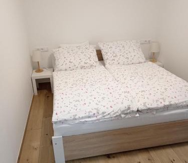Podmoli Apartment | Rekreační dům