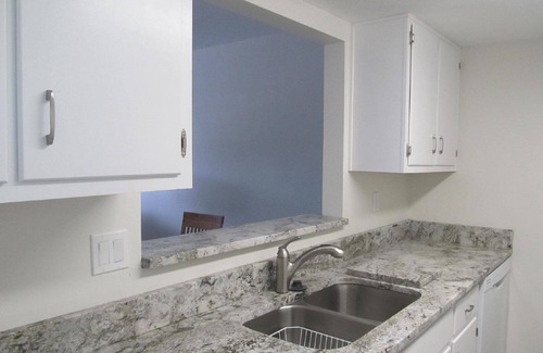 Dunedin Condo | Relax and enjoy life at our updated Dolphin Point Condo in Dunedin