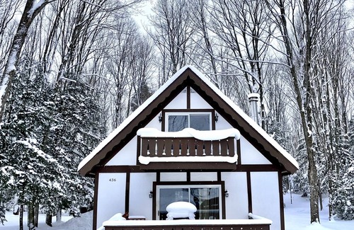 Harbor Springs House | Relax at the Cozy Cabin, just a 5-min drive to it all
