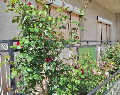 Kulen Vakuf Apartment | Relax Rose Apartment