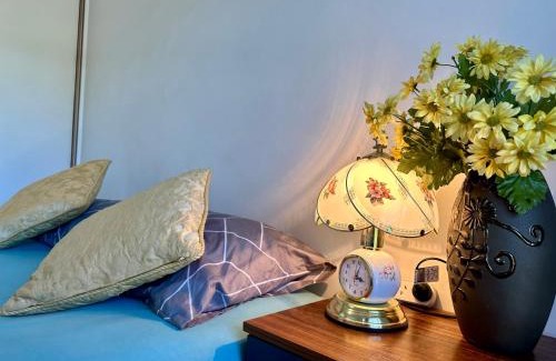 Adelaide Central Business District Apartment | Relaxing park view 2 bedrooms apartment Free Wi-Fi