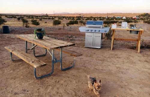 Twentynine Palms Other | Relaxing Yurt Wonderful for Stargazing near Joshua Tree National Park, California