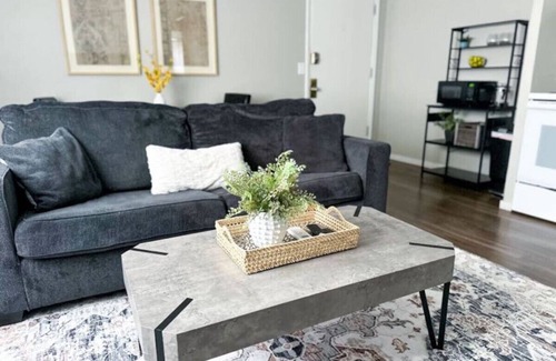 Congress Park Apartment | ❊ ❊ ❊ Remodeled Congress Park Flat ❊ ❊ ❊ With Free Reserved Parking