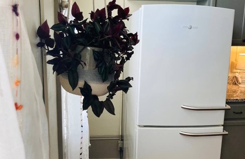 Erwin Apartment | Renovated Historic Apartment with charming details